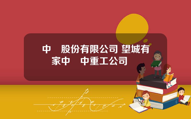 中聯股份有限公司 望城有幾家中聯中重工公司